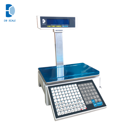 Cân điện tử DB 1000